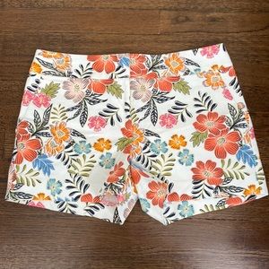 LOFT size 6 shorts
